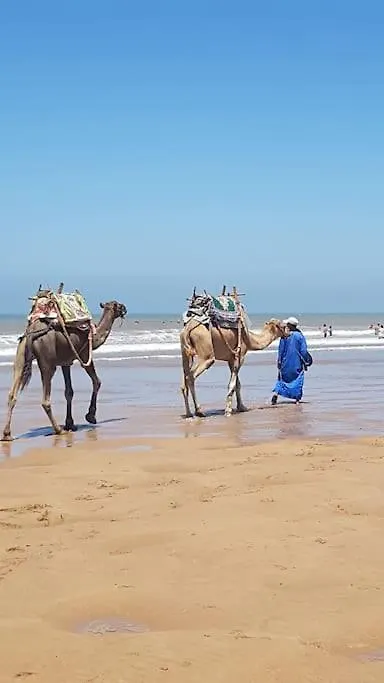 Charmant Riad Pour Familles Ou Groupes - Dar Mama As-Sawíra